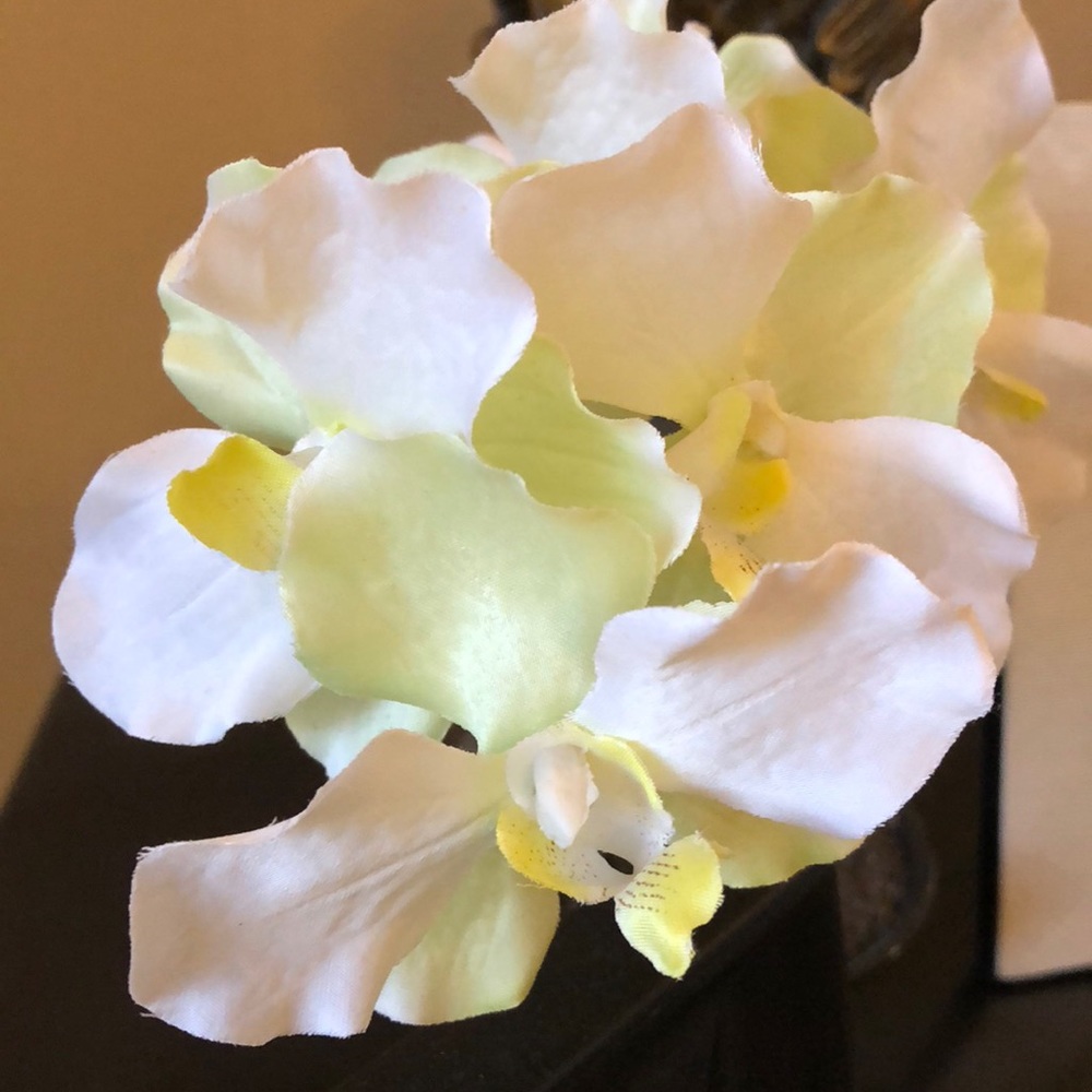 Meet your Posher, Lara